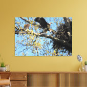 Bald Eagle Pair bij Nest Canvas Afdruk (Insitu (Woonkamer))