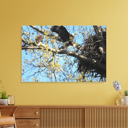 Bald Eagle Pair bij Nest Canvas Afdruk (Insitu (Woonkamer))