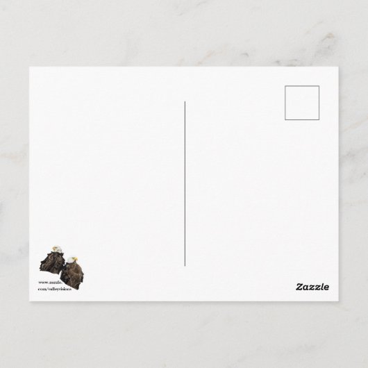 Bald Eagle Pair Briefkaart (Achterkant)