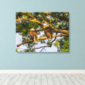 Bald Eagle Pair Canvas Afdruk (Insitu (Houten vloer))
