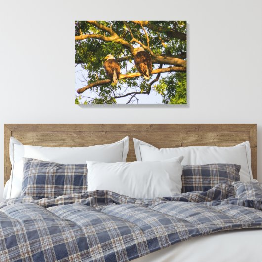 Bald Eagle Pair Canvas Afdruk (Insitu (Slaapkamer))