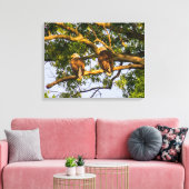 Bald Eagle Pair Canvas Afdruk (Insitu (Woonkamer))