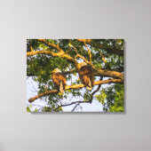 Bald Eagle Pair Canvas Afdruk (Voorkant)