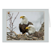Bald Eagle Pair in hun nest (Voorkant Horizontaal)