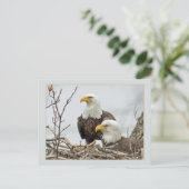 Bald Eagle Pair in hun nest Briefkaart (Staand voorkant)