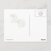 Bald Eagle Pair in hun nest Briefkaart (Achterkant)