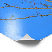 Bald Eagle Pair in Tree Foto Afdruk (Hoek)