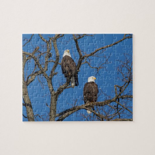 Bald Eagle Pair Legpuzzel (Horizontaal)