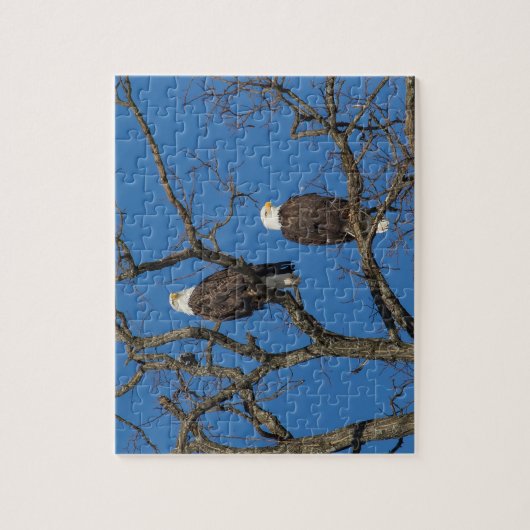 Bald Eagle Pair Legpuzzel (Verticaal)