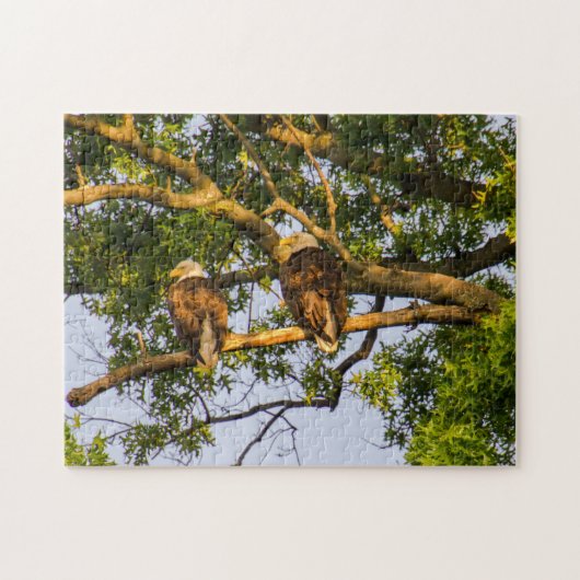 Bald Eagle Pair Legpuzzel (Horizontaal)