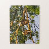 Bald Eagle Pair Legpuzzel (Verticaal)