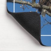 Bald Eagle Pair Muismat (Hoek)