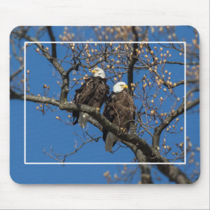 Bald Eagle Pair Muismat