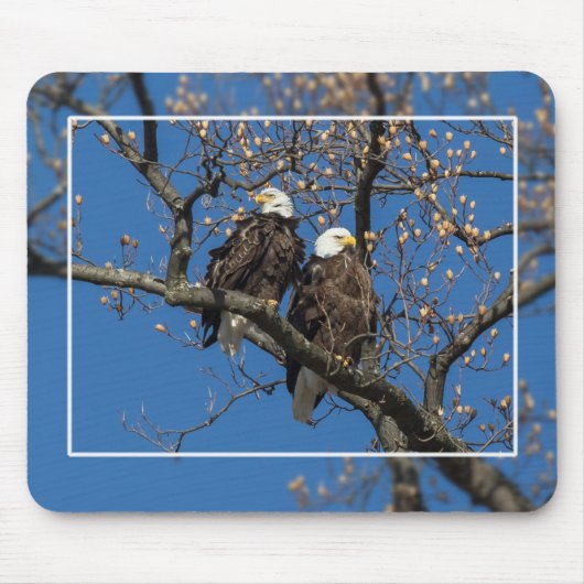 Bald Eagle Pair Muismat (Voorkant)