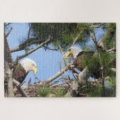 Bald Eagle Pair neigt naar nest Legpuzzel (Horizontaal)