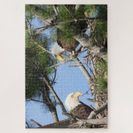 Bald Eagle Pair neigt naar nest Legpuzzel