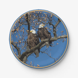 Bald Eagle Pair Papieren Bordje