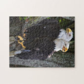 Bald Eagle Pair Puzzle Legpuzzel (Horizontaal)