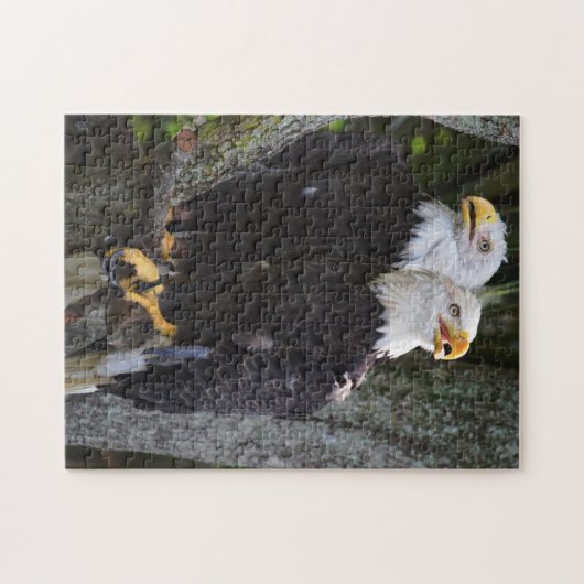 Bald Eagle Pair Puzzle Legpuzzel (Horizontaal)