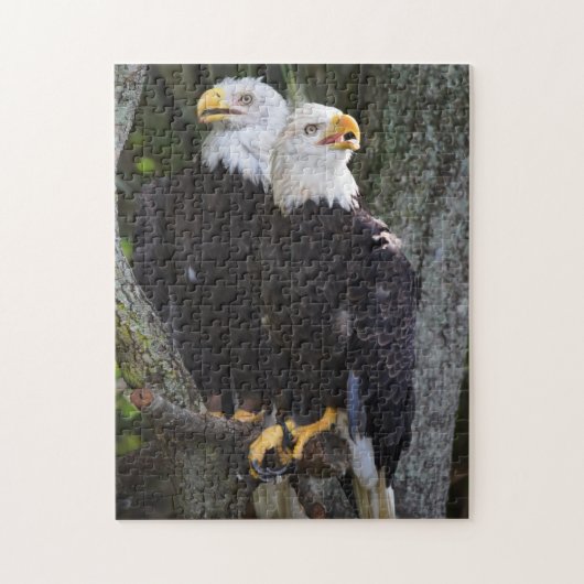 Bald Eagle Pair Puzzle Legpuzzel (Verticaal)
