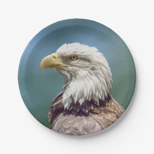 Bald Eagle Paper Bord (Voorkant)