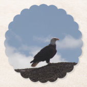Bald Eagle Paper Coasters Kartonnen Onderzetters (Voorkant)
