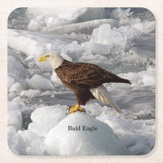 Bald Eagle paper onderzetter (Voorkant)