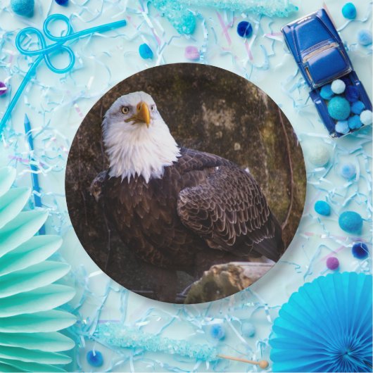 Bald Eagle Papieren Bordje (Feest)
