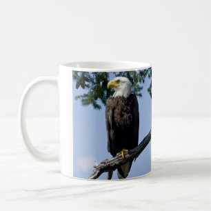 Bald Eagle Parent Koffiemok