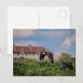 Bald Eagle pass Fort Ticonderoga Briefkaart (Voorkant / Achterkant)