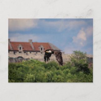 Bald Eagle pass Fort Ticonderoga Briefkaart