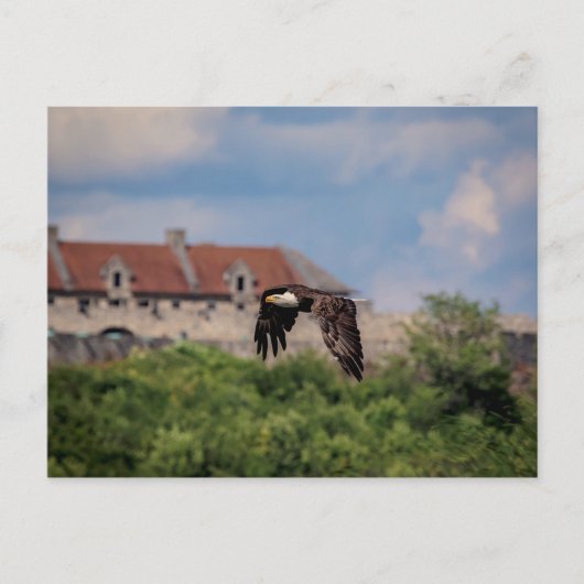 Bald Eagle pass Fort Ticonderoga Briefkaart (Voorkant)