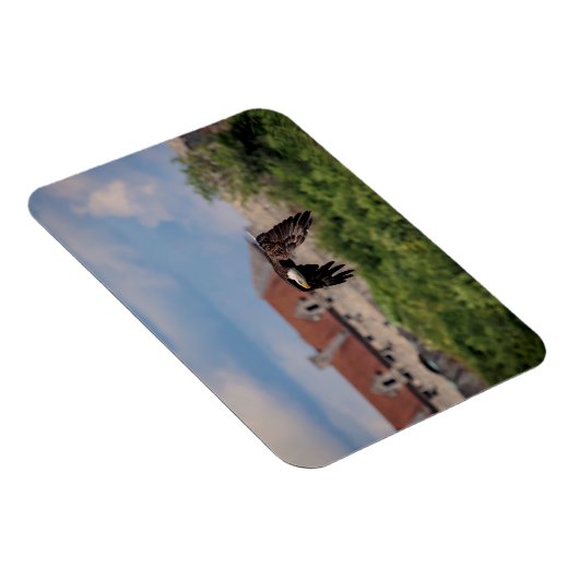 Bald Eagle pass Fort Ticonderoga Magneet (Rechterzijde)