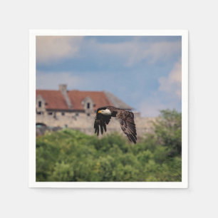 Bald Eagle pass Fort Ticonderoga Servet