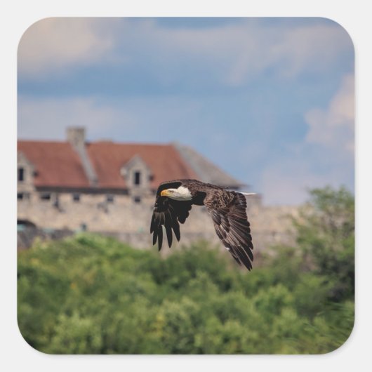 Bald Eagle pass Fort Ticonderoga Vierkante Sticker (Voorkant)