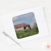 Bald Eagle pass Fort Ticonderoga Vierkante Sticker (Envelop)