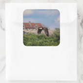 Bald Eagle pass Fort Ticonderoga Vierkante Sticker (Tas)