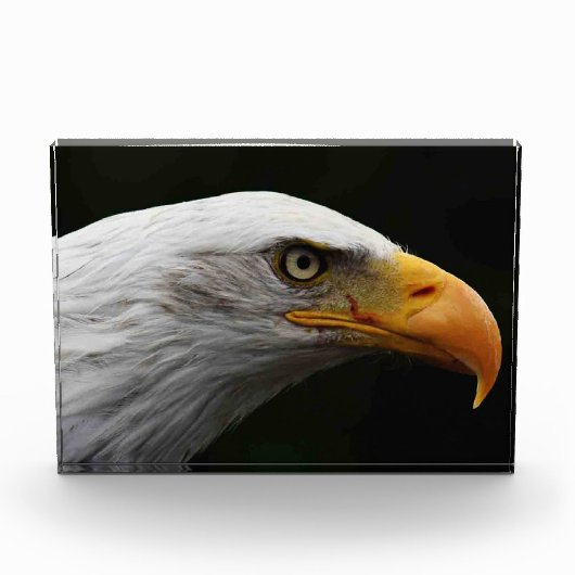 Bald Eagle pbcna Fotoblokken (Voorkant)