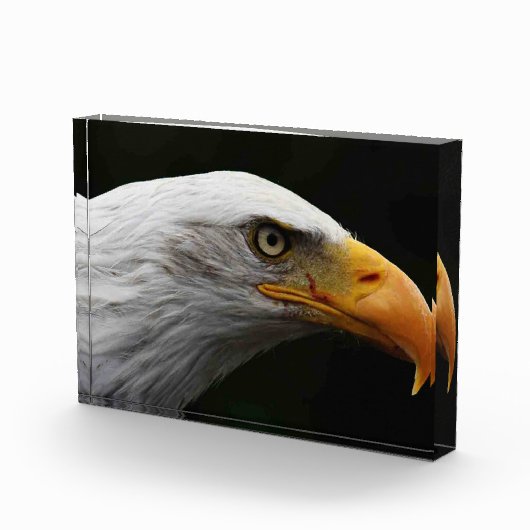 Bald Eagle pbcna Fotoblokken (Rechts)