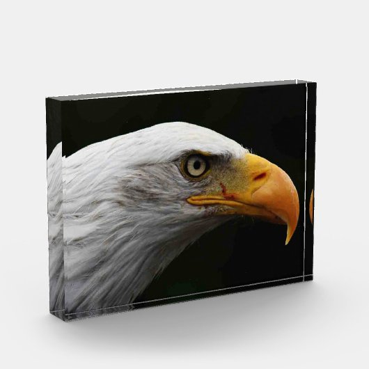 Bald Eagle pbcna Fotoblokken (Links)