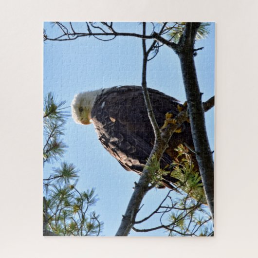 Bald Eagle Perch - 16 x 20 - 520 pcs. Legpuzzel (Verticaal)