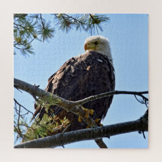 Bald Eagle Perch - 20x20 - 676 pcs. Legpuzzel (Verticaal)