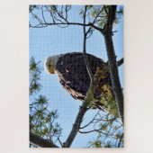 Bald Eagle Perch - 20x30 - 1014 pcs. Legpuzzel (Verticaal)
