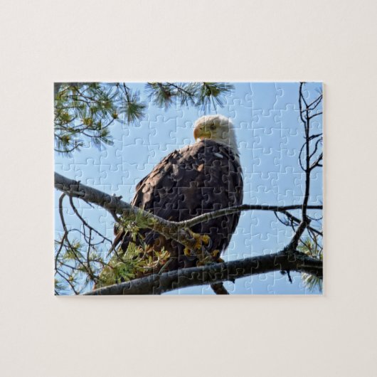 Bald Eagle Perch - 8 x 10 - 110 pcs. Legpuzzel (Horizontaal)