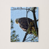 Bald Eagle Perch - 8 x 10 - 110 pcs. Legpuzzel (Verticaal)