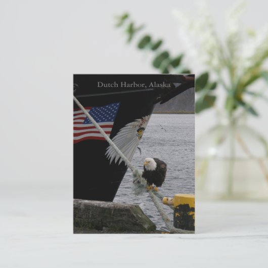 Bald Eagle Perched on a Mooring Line, Dutch Harbou Briefkaart (Staand voorkant)