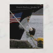 Bald Eagle Perched on a Mooring Line, Dutch Harbou Briefkaart (Voorkant)
