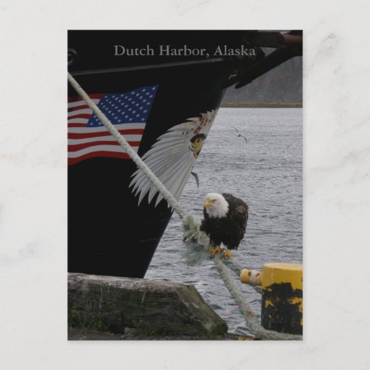 Bald Eagle Perched on a Mooring Line, Dutch Harbou Briefkaart (Voorkant)
