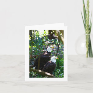 Bald Eagle Photo Folded Note Kaart