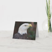 Bald Eagle Photo Folded Note Kaart (Voorkant)
